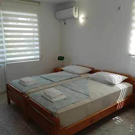 Daris-aphrodeya дарис-афродея ソゾポル