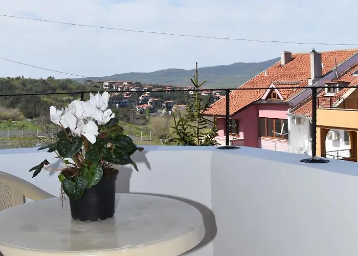 Daris-aphrodeya дарис-афродея Sozopol